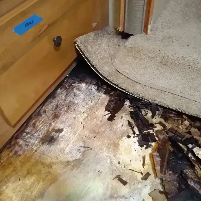 Wood Floor Water Damage in Willis, TX